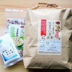 酵素玄米専用セット(生きている玄米)口コミ使用感想